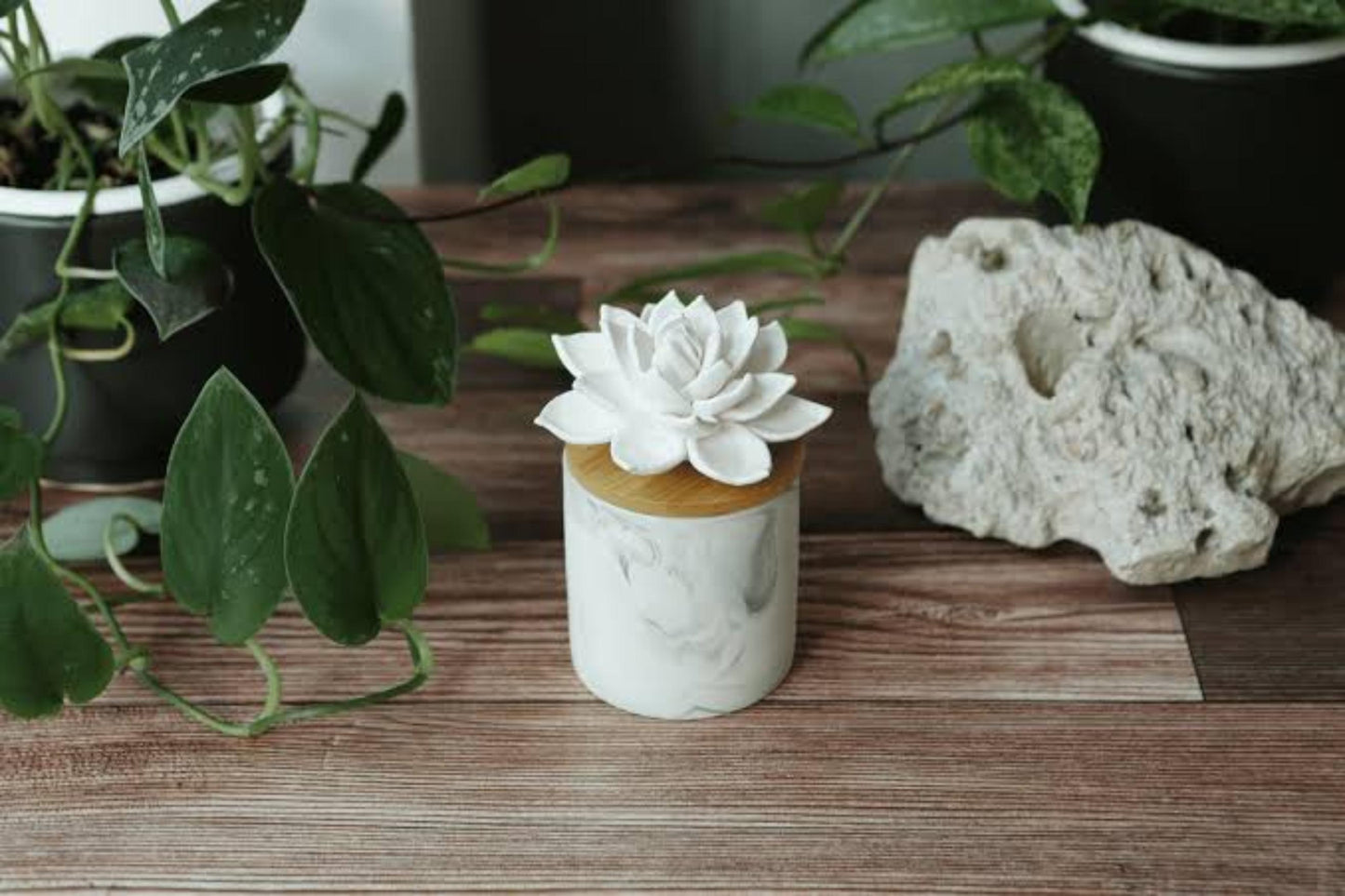 Bluzen Succulent Stone Diffuser