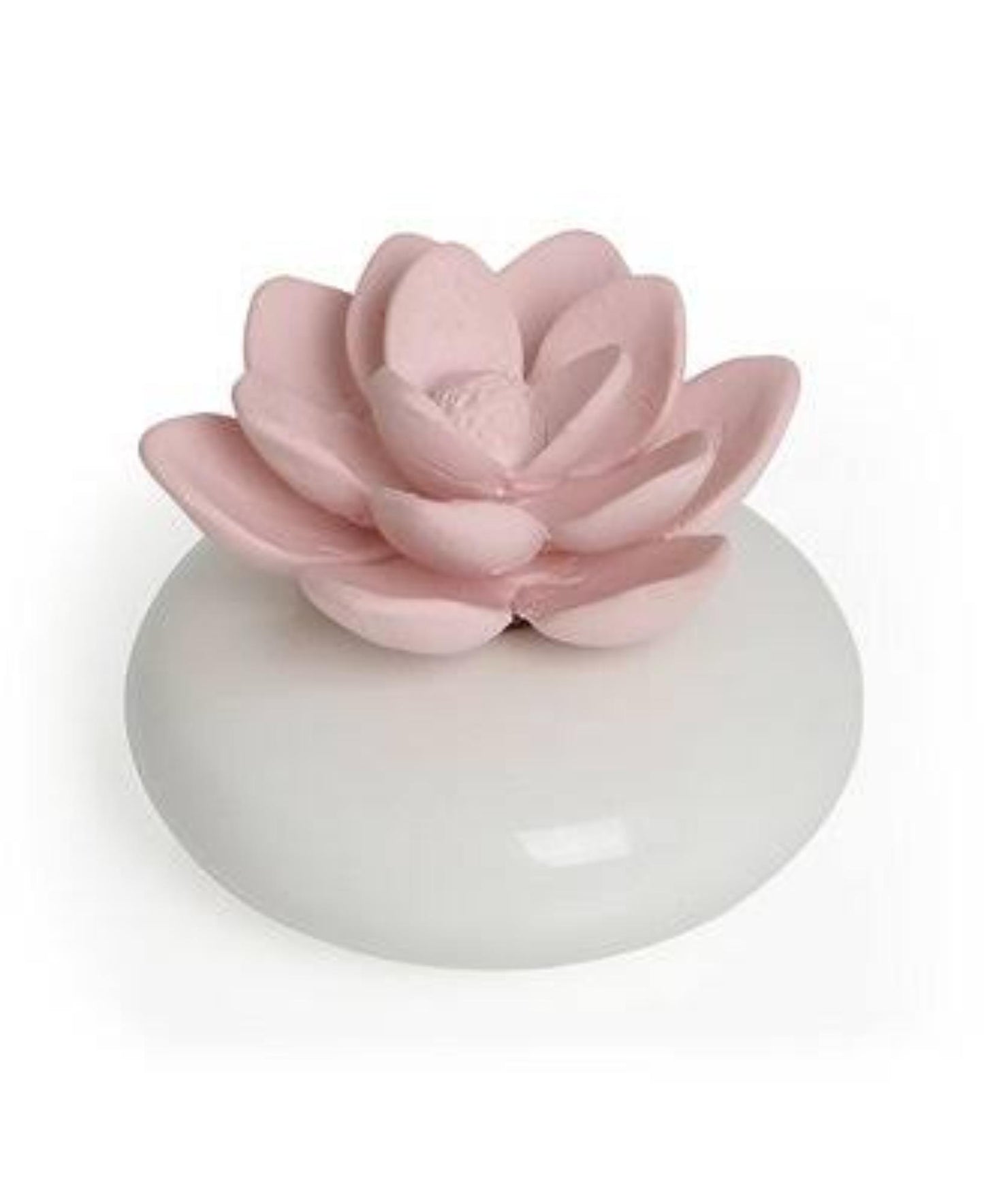 Bluzen Desert Flower Diffuser