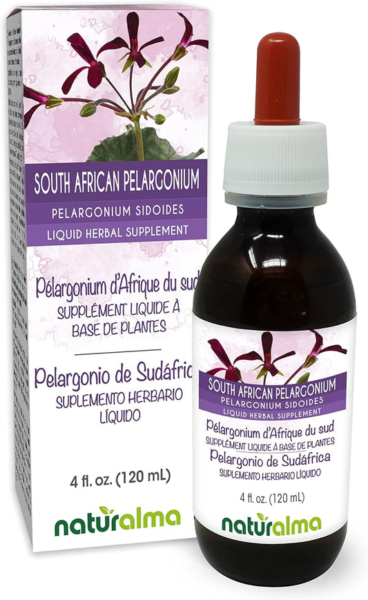 South African Pelargonium